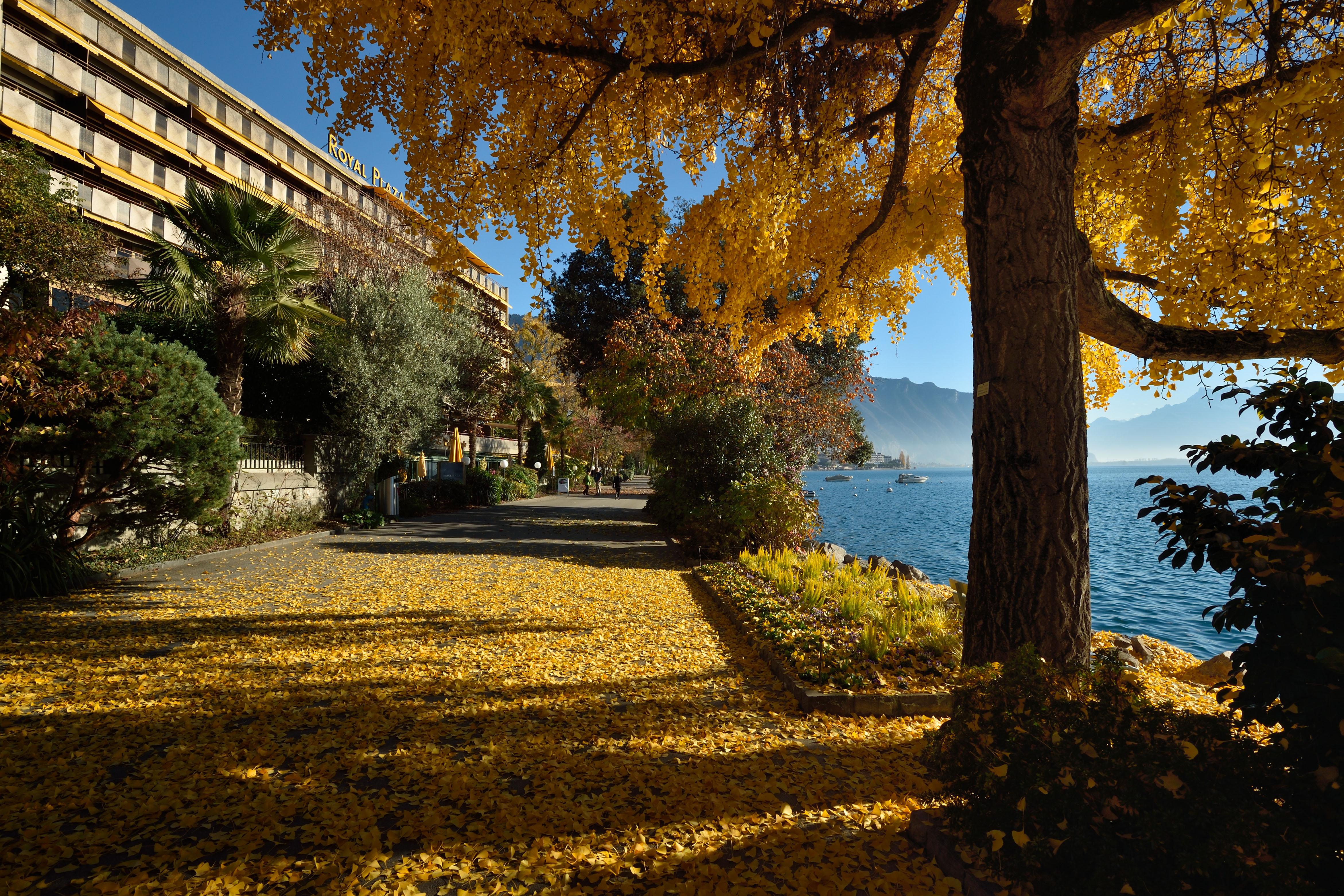 Royal Plaza Montreux Hotel Exterior photo Autumn at the University of Victoria