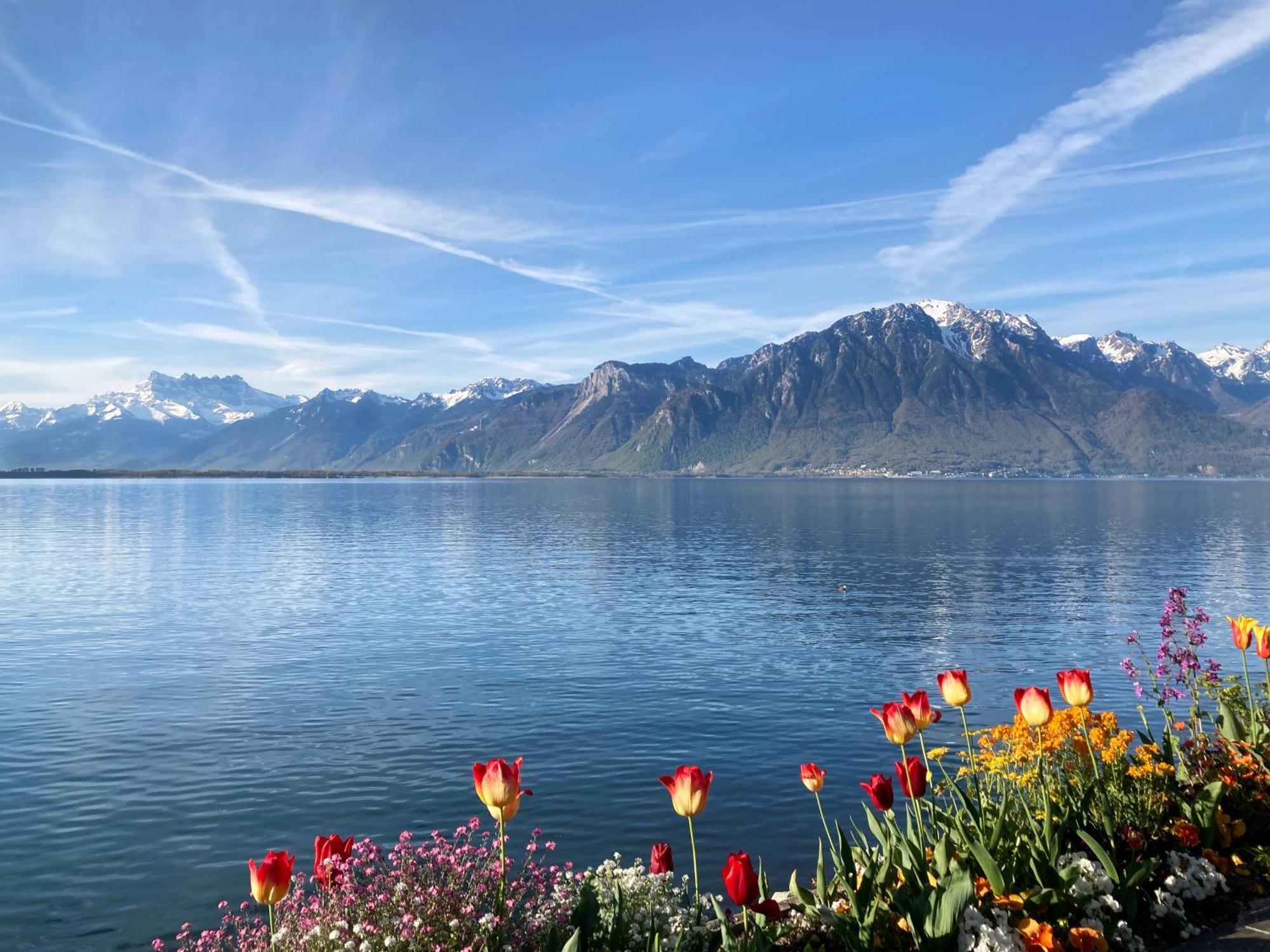 Royal Plaza Montreux Hotel Exterior photo View of the Alps from Montreux